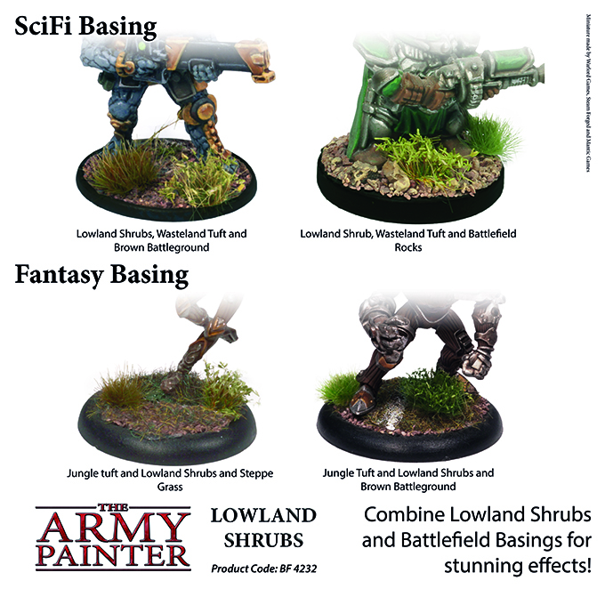 Lowland Shrubs (2019)